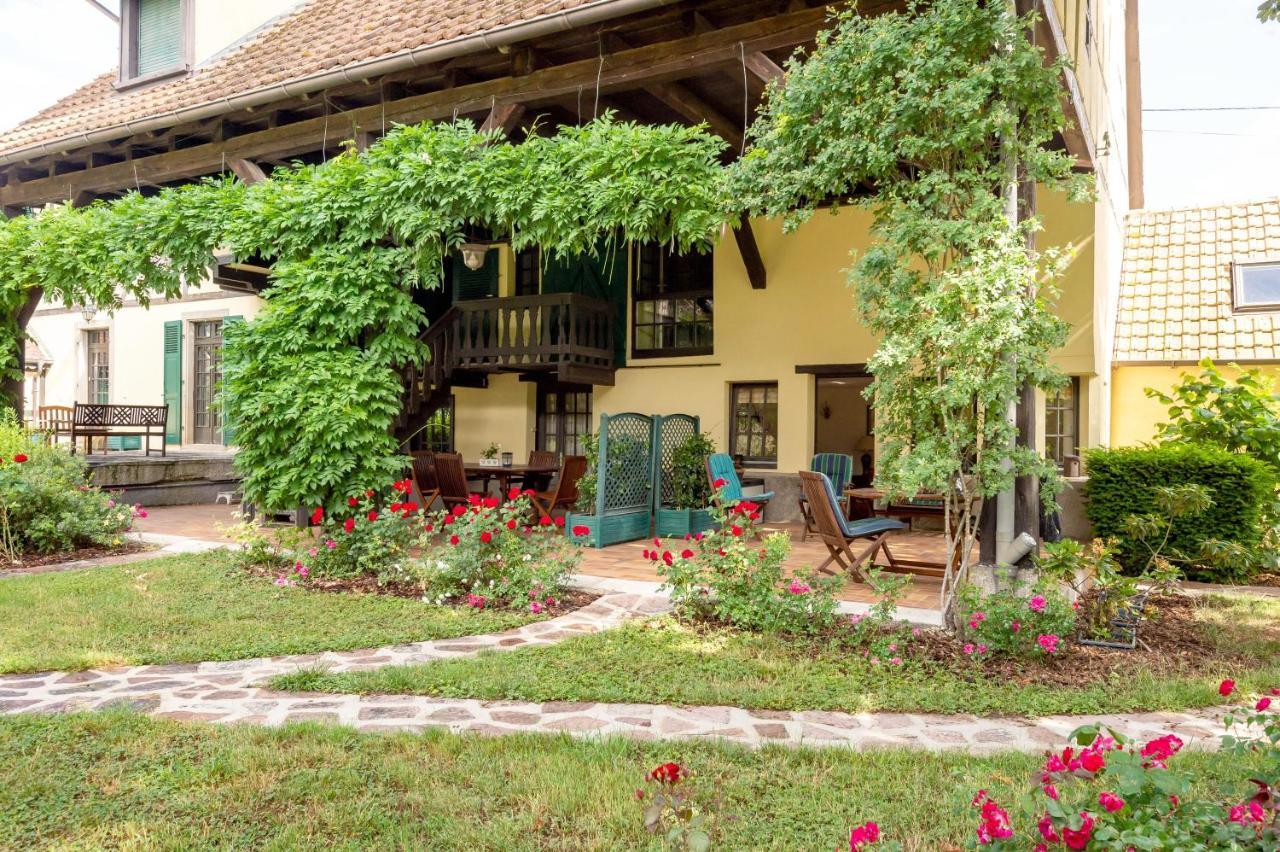 Ferienwohnung Rose - Piscine Partagee - Proche Europa Park Hessenheim Exterior foto
